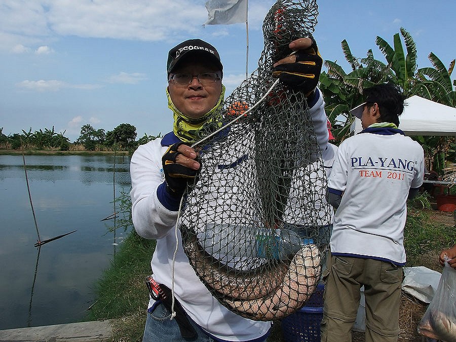 อัพเดท ปลาช่อนวังกุ้ง บางพลี (ซ้ำ) คร๊าบบบบบ