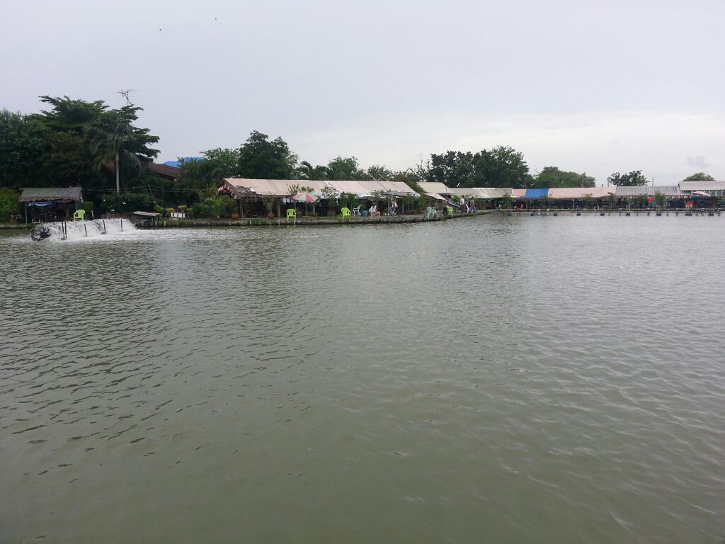 หายคัน ที่บ่อหนุ่มบางประกง