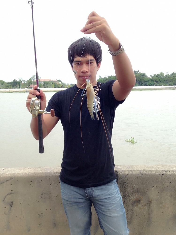 กุ้งหน้าวังครับ