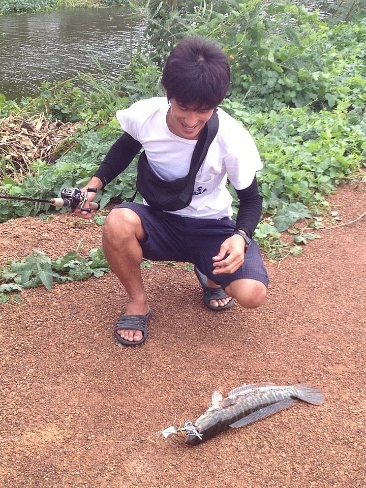 +++ชะโดคลองบางบัวทองครับ++