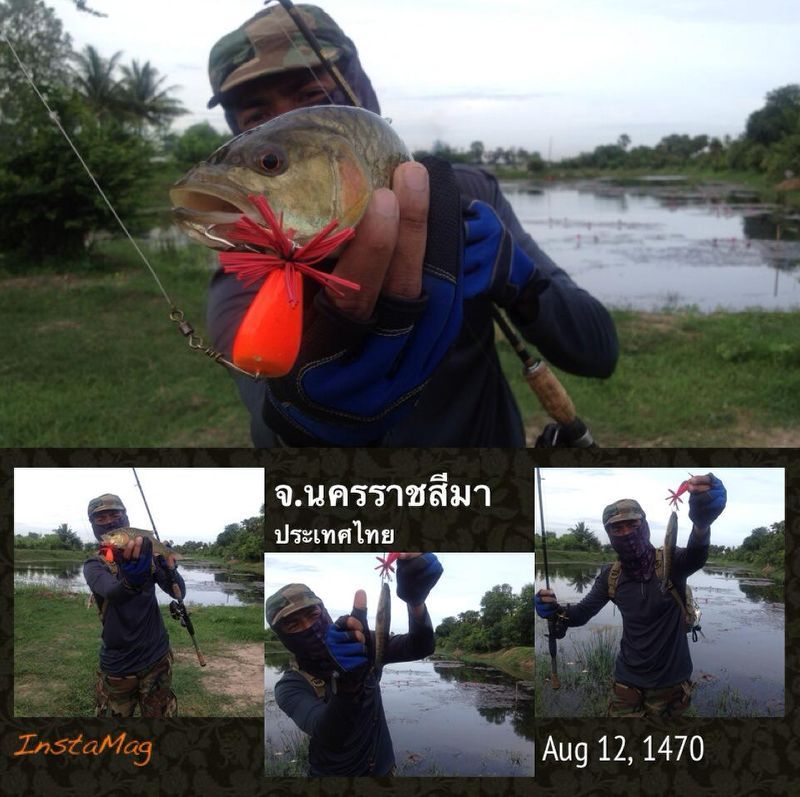 เที่ยวไปตามตะวัน บุกบั่นไปตามลม สนุกสุขสม หัวใจหงายคว่ำ ...