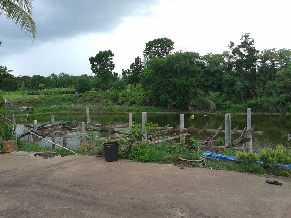 ทริปตกปลาเสาร์-อาทิตย์บ่อขุดหลังบ้านเพื่อน