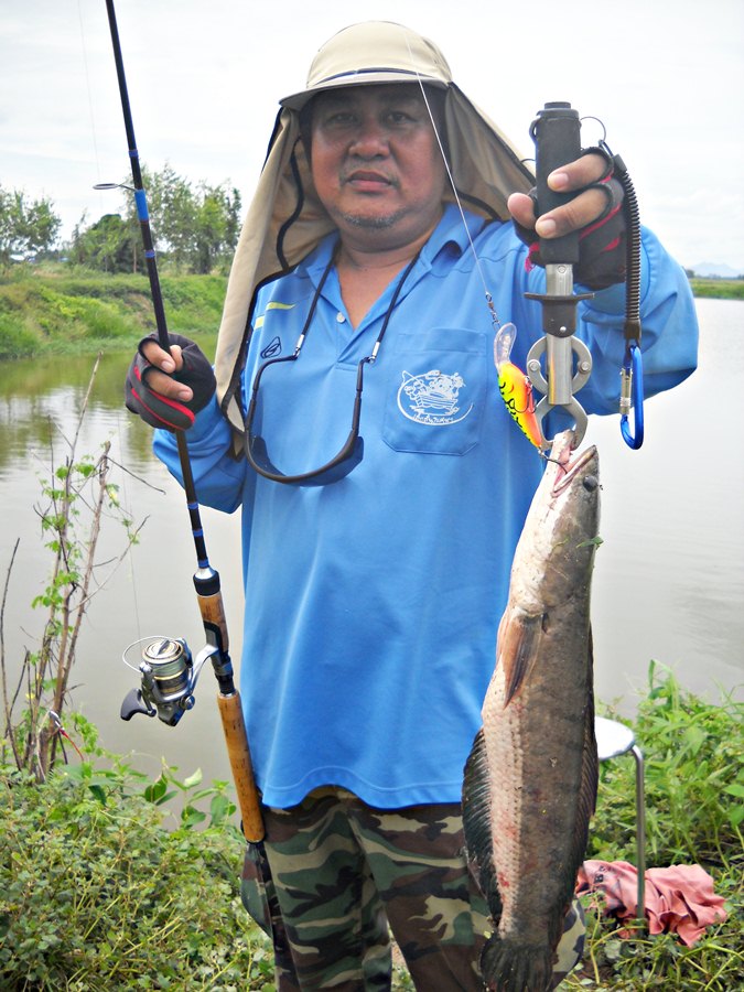 .....ช่อนใหญ่ Style RAPALA.....