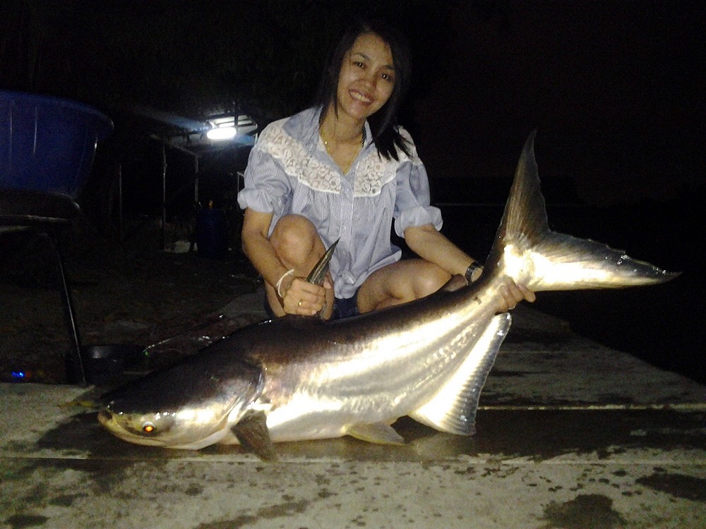 ตัวเล็กๆที่เงาน้ำ