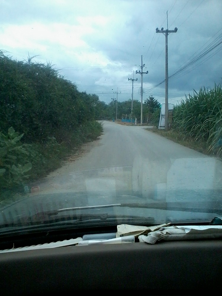 แถวบ้านก็พอมีตัว