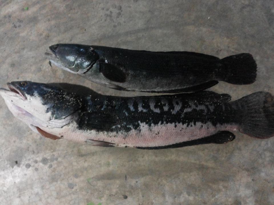 กว่าจะได้มา.... ถึงกับต้องปล้น....