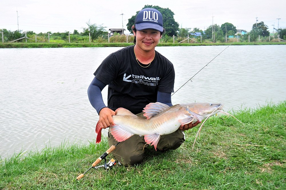 Ultra Light ปะทะ กดคัง.......( Area Fishing Style)