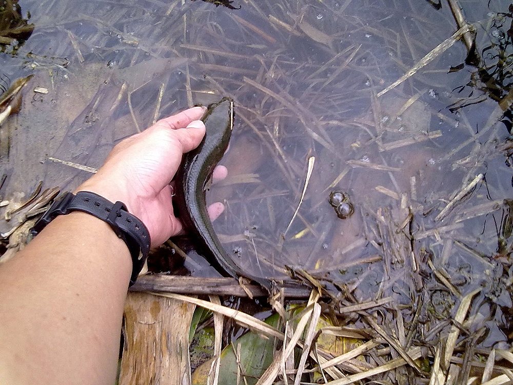^_^ ช่อนเด็ก..เมื่อตะกี๊นี่เอง ^_^