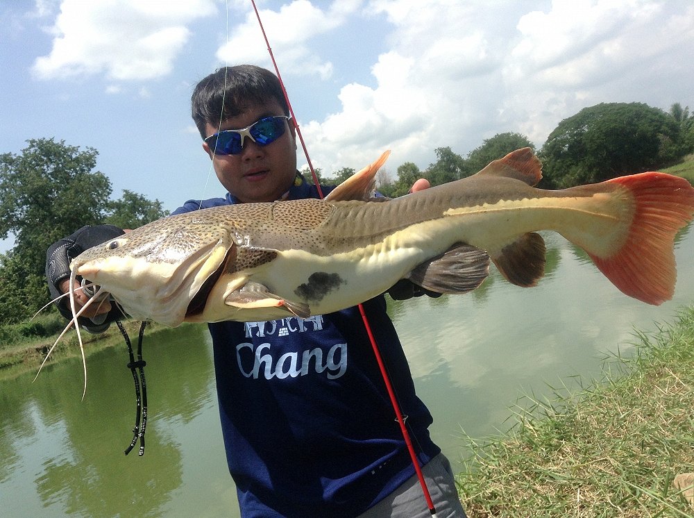 ลุงใหญ่fishing สัตปะหลาดเเห่งลุ่มน้ำอเมซอล
