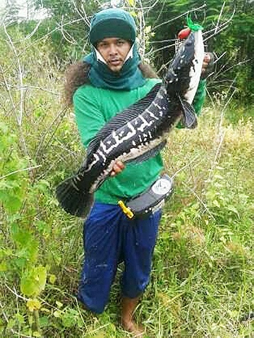 ผลงาน กบเจ้าเก่า เพชรบุรี " สมาคมคนรักษ์การตกปลา"