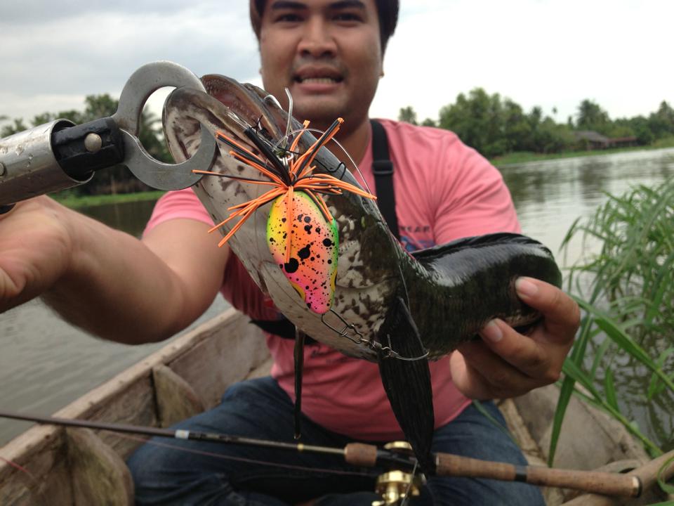 ของผมก็ไม่แพ้ใครเหมือนกัน