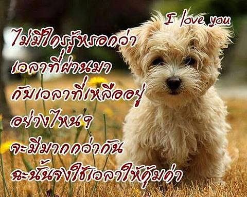 วันนี้เครียดครับ......จัดมาหนึ่งหน่วย