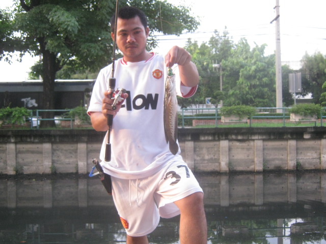 ตกตอนเย็นวันแม่