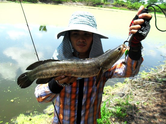 สุพรรณมีไซต์ไหญ่...