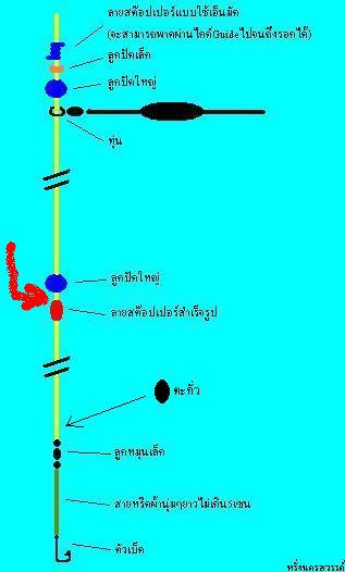 สอบถามเทพ ++ชิงหลิว++