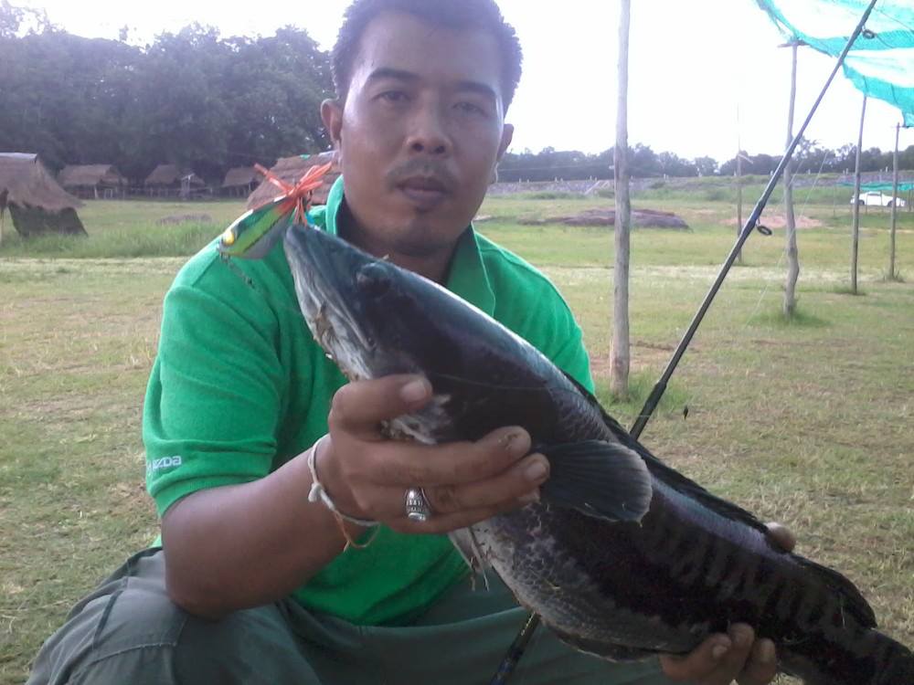 ลองๆส่งครั้งแรก