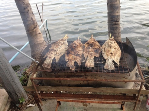 ปลานิลเผา บึงบึก