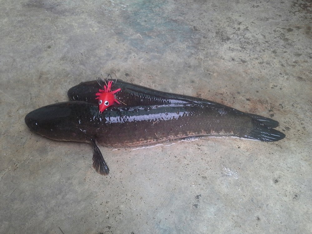 แล้วเราก็หากันจนเจอ