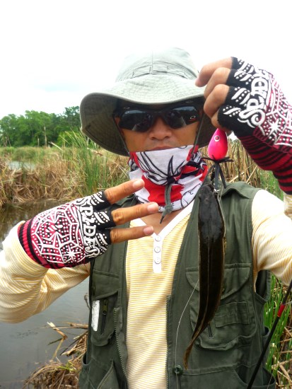สามกษัตริย์ กับ Pink devil