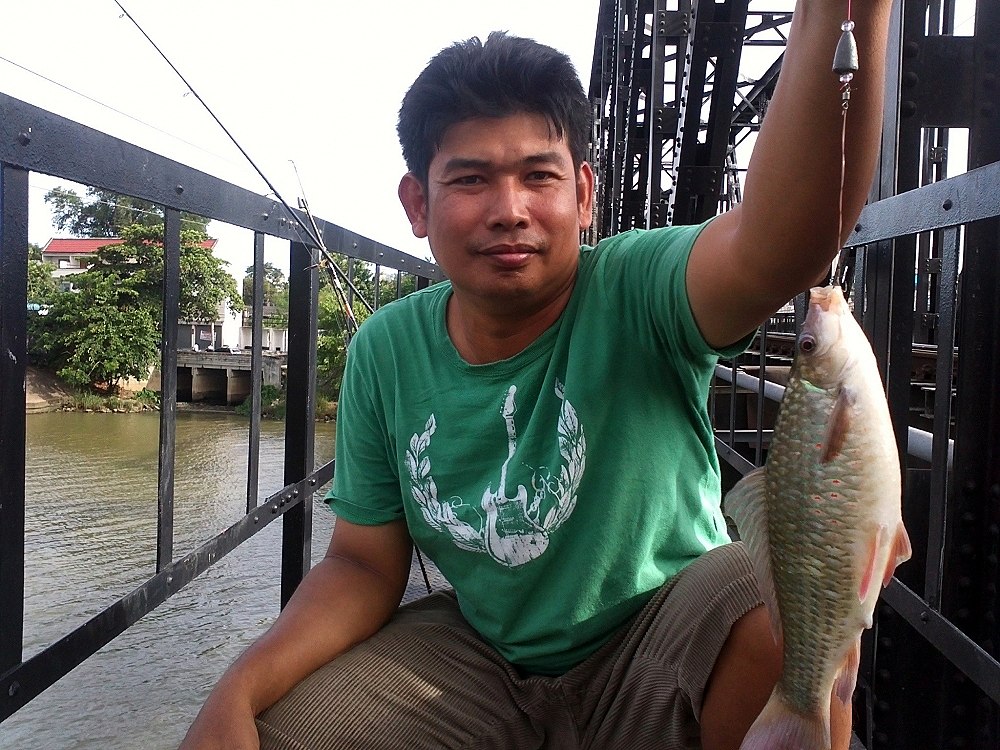 กาดำ 4kg up @ สะพานดำ