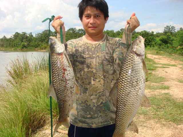 ไปมันส์คนเดียว กับแบบหน้าดิน