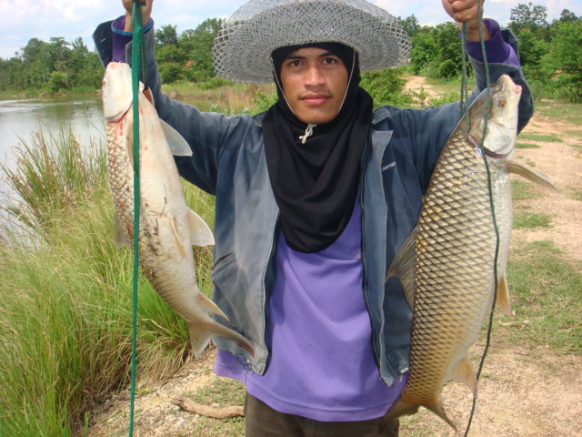 ไปมันส์คนเดียว กับแบบหน้าดิน