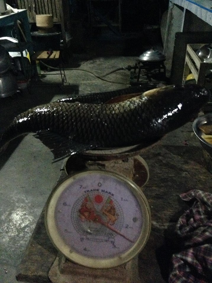 อ่อยเหยื่อมะขวิดไว้ แล้วไปโดนหลังเลิกงาน