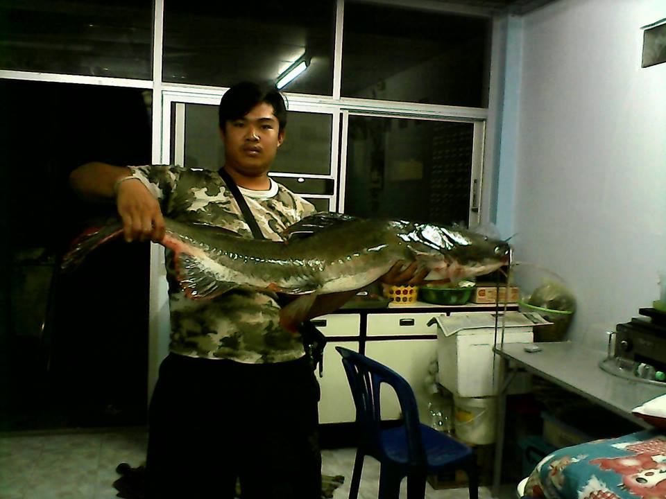 เขื่อนสิริกิติ์ ยังพอมีตัวครับ