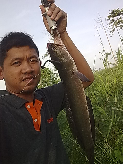 ว่างไม่ได้ ต้องไป