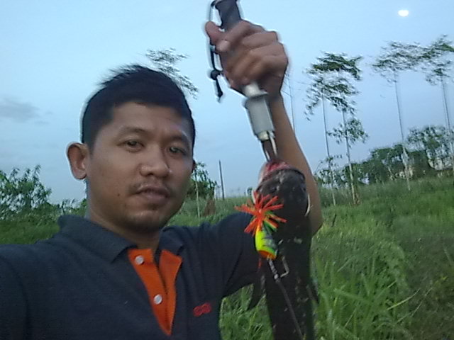 ว่างไม่ได้ ต้องไป