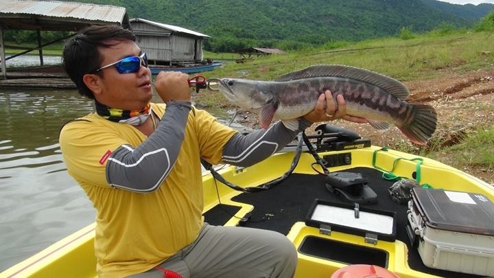 ลุงใหญ่fishing ทิ๊ดอนเจดีย์ ชะโดเขื่อนศรี