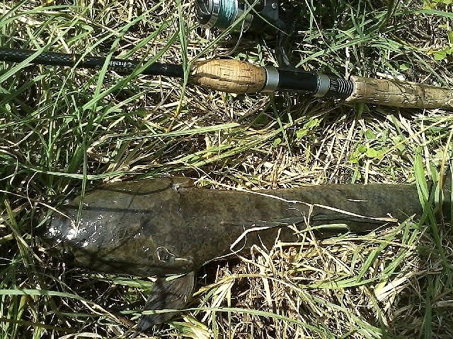 Texas rig # 3