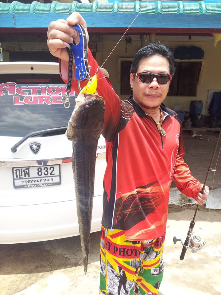 กบยาง Actionlure + ช่อน