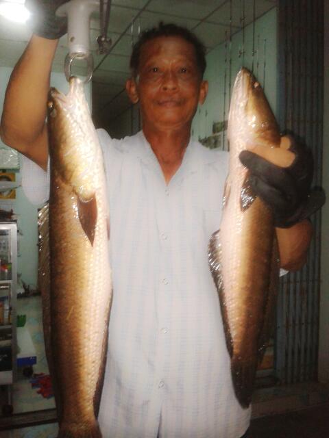 ลุงกะป้าฟิชชิ่ง