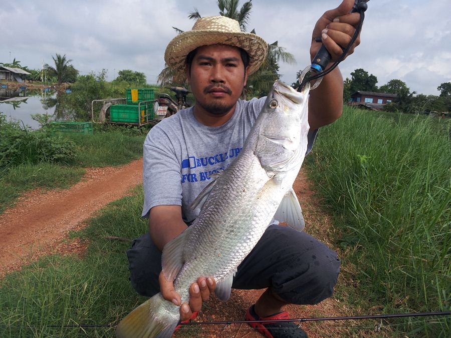 กระพงแปดริ้ว 8 กันยา โอนได้เลยครับ ปิดรับ