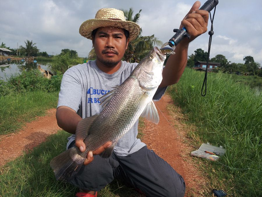 กระพงแปดริ้ว 8 กันยา โอนได้เลยครับ ปิดรับ