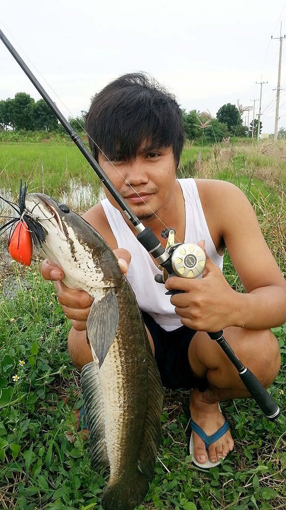 ช่อนไดโนเสาร์(ล้อเล่น จร๊) ช่อนนา ภาค 2 ตอนเย็น