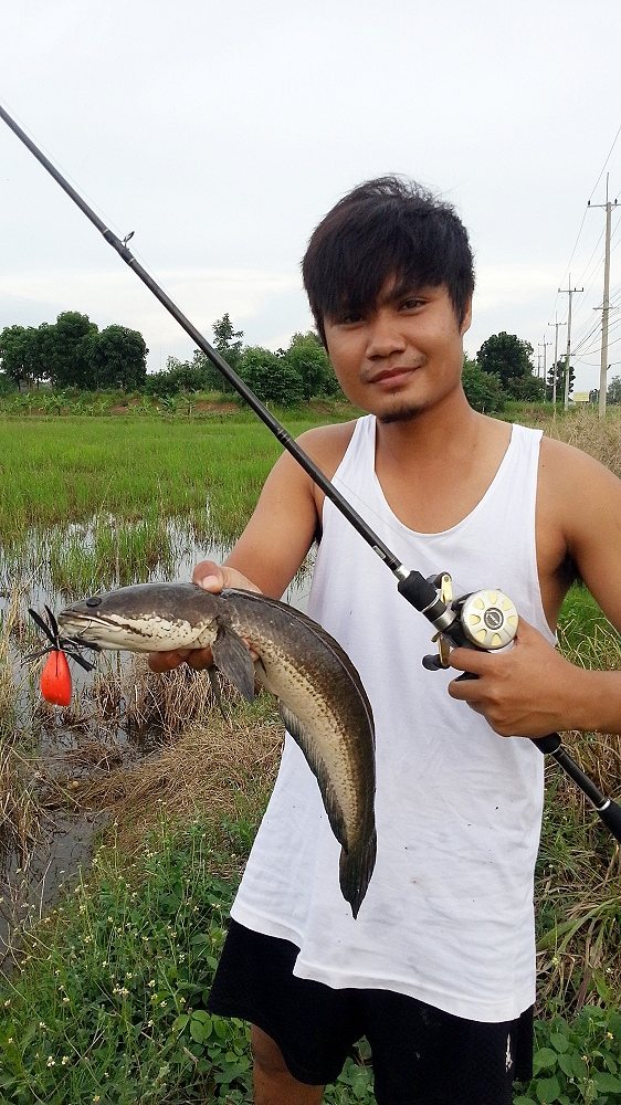 ช่อนไดโนเสาร์(ล้อเล่น จร๊) ช่อนนา ภาค 2 ตอนเย็น