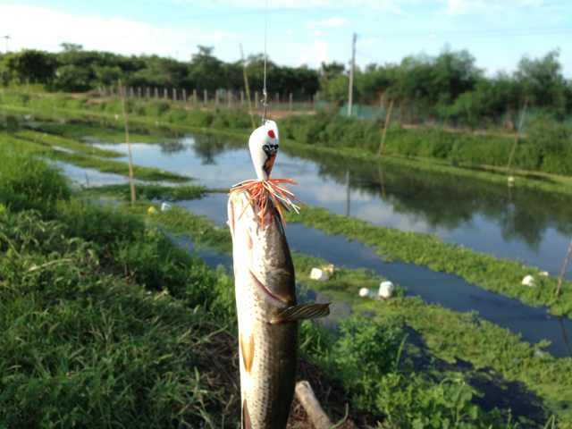 ********ภาพมันฟ้อง!!!!!!