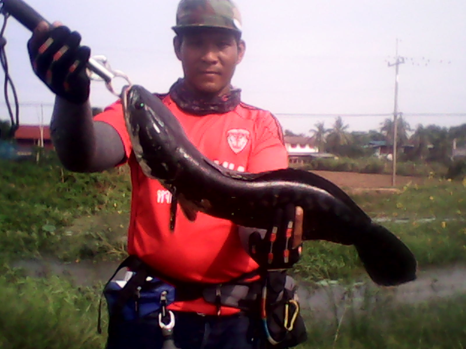 ตกไอ้โดข้างทาง......(สิงบุรี)