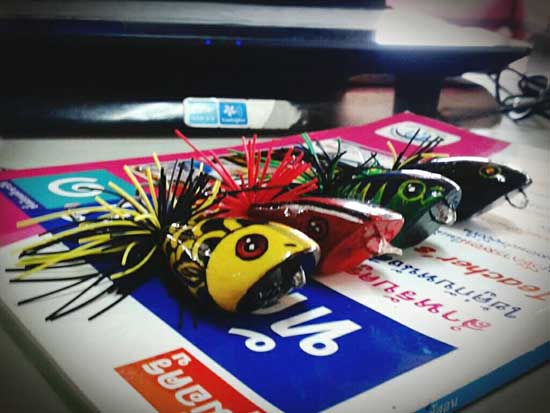 กบNinja 4.5cm.