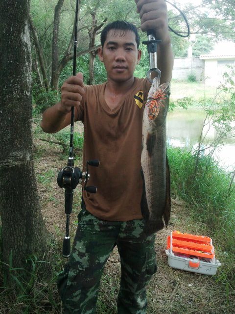 หนึ่งสัปดาห์กับช่อนข้างทาง