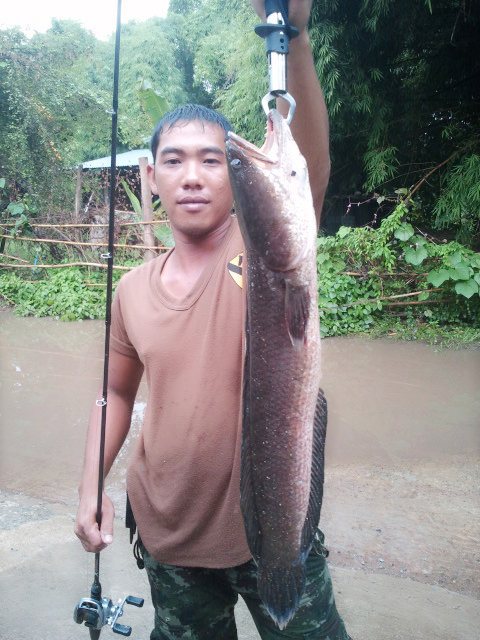หนึ่งสัปดาห์กับช่อนข้างทาง
