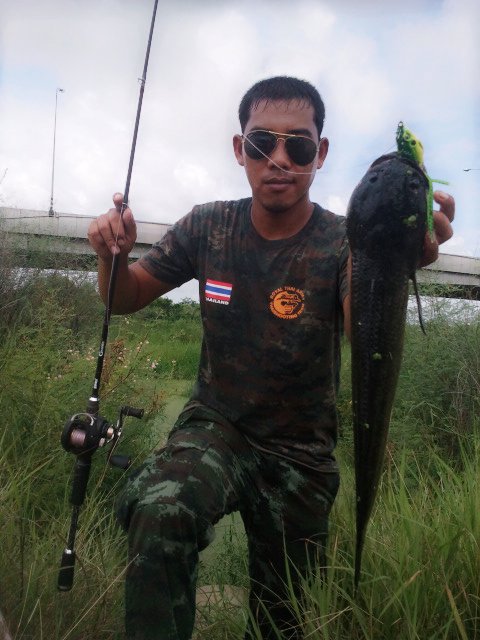 หนึ่งสัปดาห์กับช่อนข้างทาง