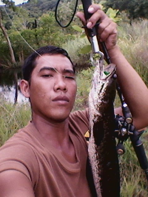 หนึ่งสัปดาห์กับช่อนข้างทาง