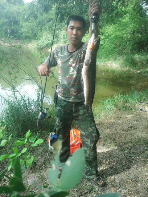 หนึ่งสัปดาห์กับช่อนข้างทาง