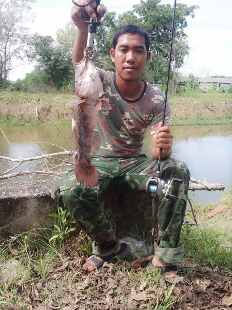 หนึ่งสัปดาห์กับช่อนข้างทาง