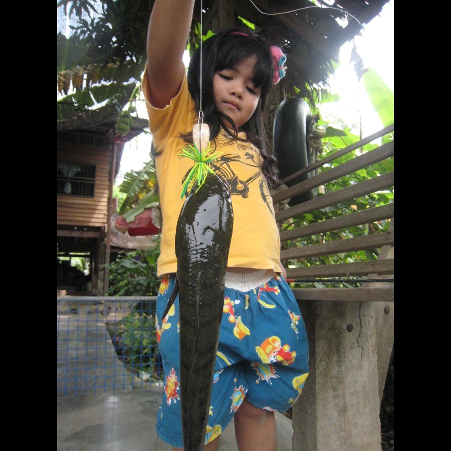 ...เเอคชั่นดี...สีไม่ต้องก็ได้...