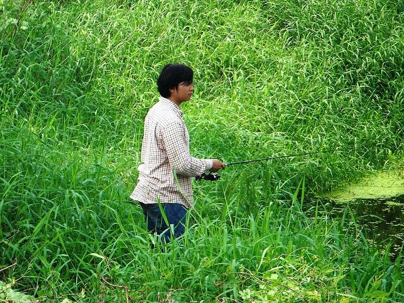 ส่งใหม่ test หยดน้ำ - กบ wit lure