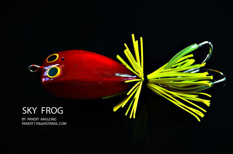 SKY  FROG...